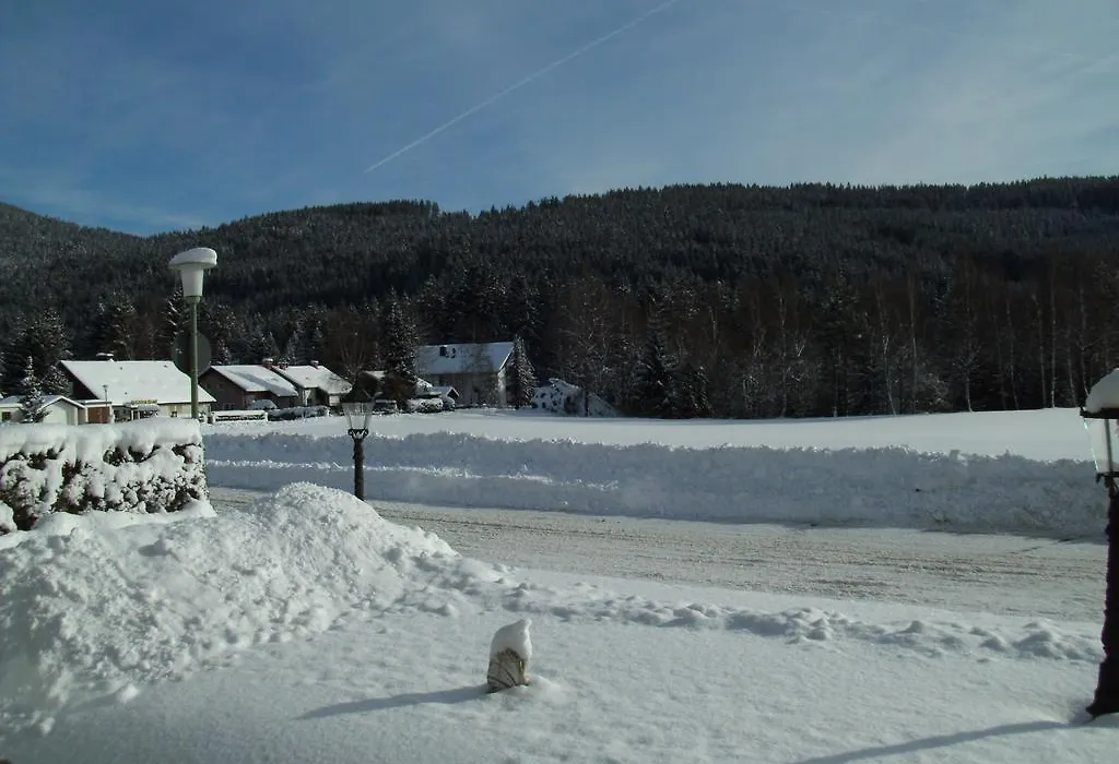 Hotel Rheingold Garni-1