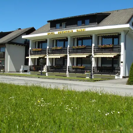 Hotel Rheingold Garni-2